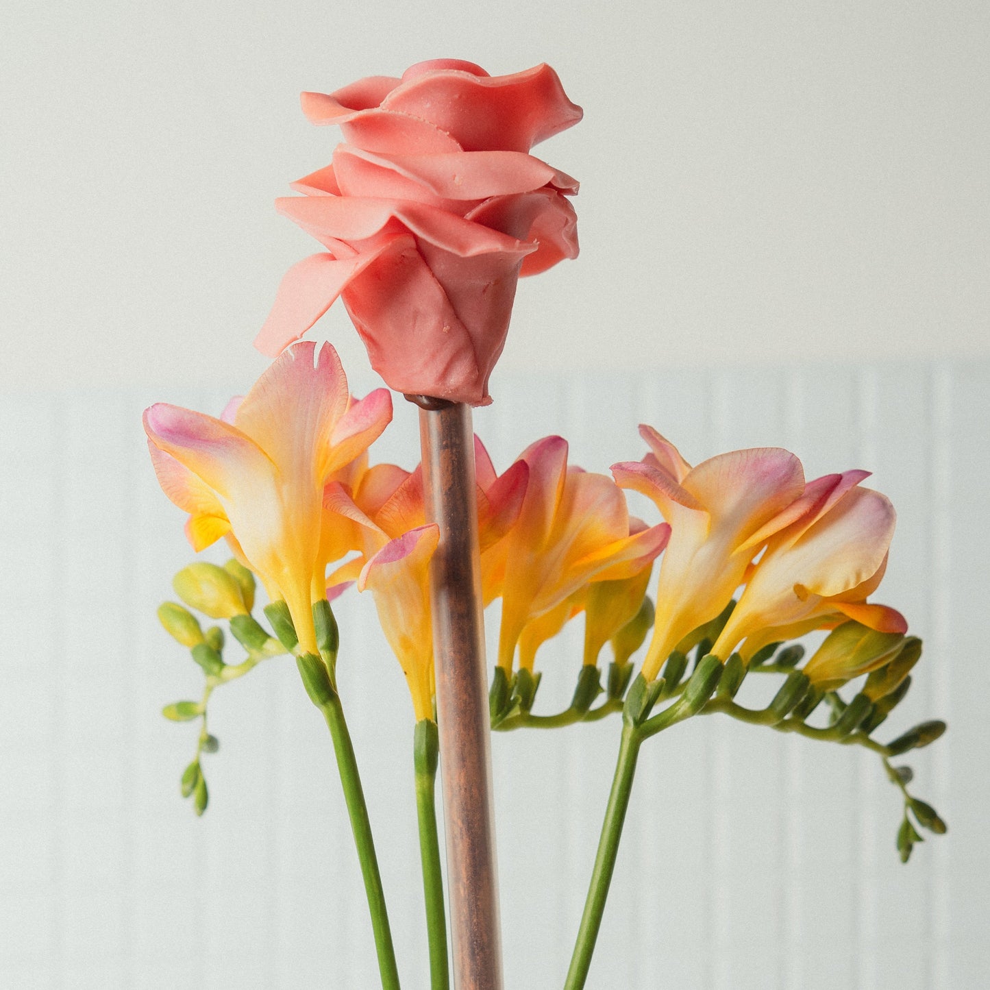 Роза от шоколад Daskalidès