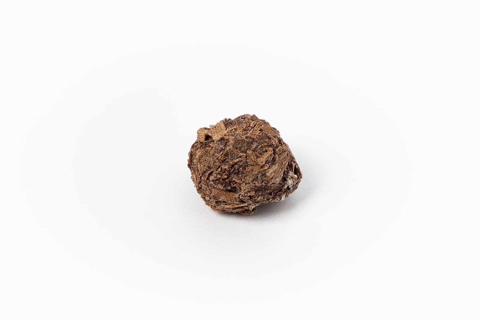 Truffe Champagne