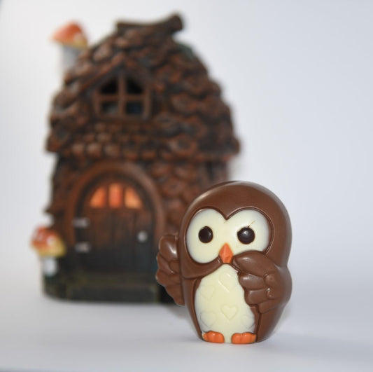 🦉Шоколадова фигурка Сова - Daskalidès